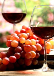 葡萄酒瓶塞的作用