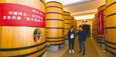 閩寧"山海情"再譜新篇,東京造攜手立蘭酒莊助力寧夏葡萄酒產業帶振興