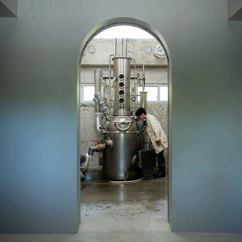 首發(fā) ▎他把一家廢棄的藥草園變成了美味白蘭地釀酒廠