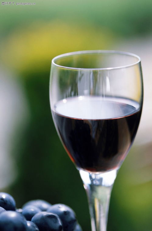 葡萄酒0040
