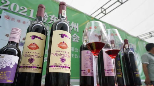 凱緣春藍(lán)莓紅酒亮相2021黔東南州農(nóng)特產(chǎn)品博覽會(huì)