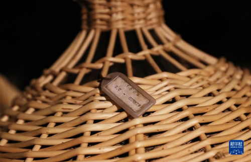 法國干邑 探訪軒尼詩工廠 品葡萄酒之美