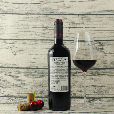 智利空加瓜谷菲爾道斯赤霞珠精選干紅葡萄酒紅酒