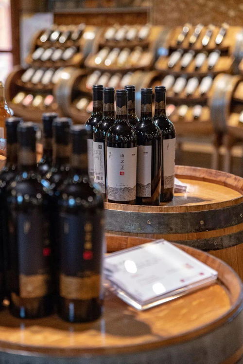 1037 祖國那么大,一起來寧夏,看星星 品紅酒,給心靈放個假 賀蘭山