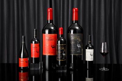 微醺之戰號角已響，醉鵝娘獲數千萬元A輪融資，推動葡萄酒行業創新